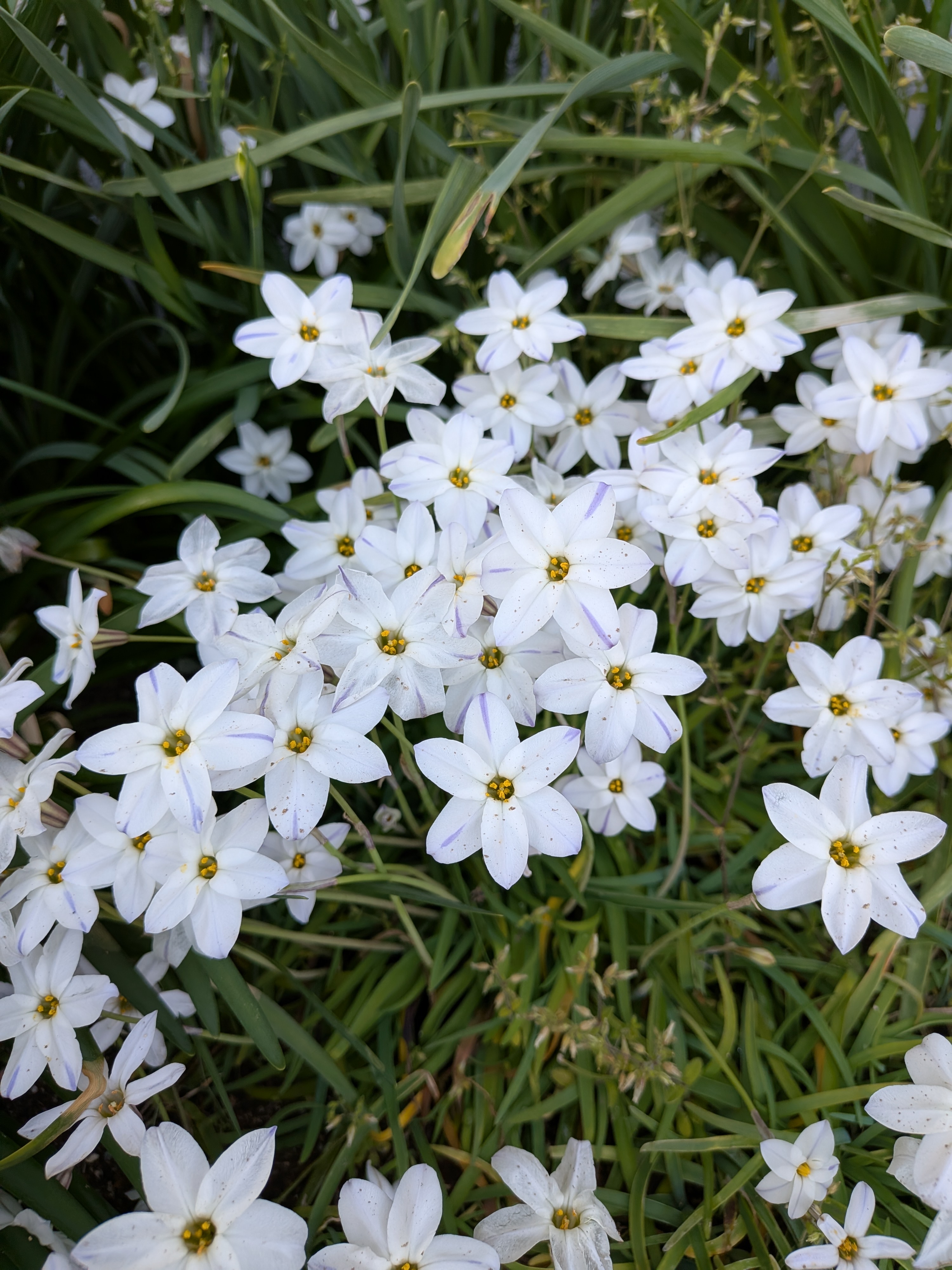 対面塾残席・今期合格実績